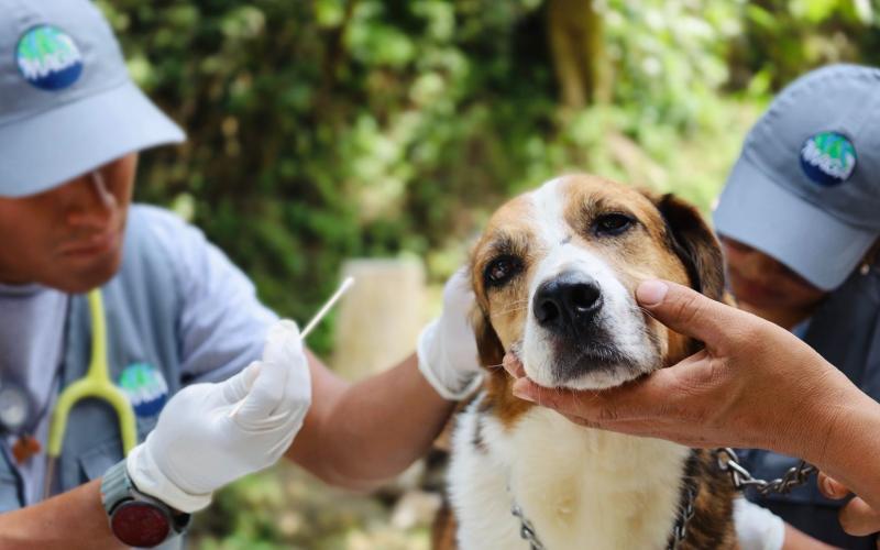 Los chequeos veterinarios dejan mascotas felices y dueños tranquilos