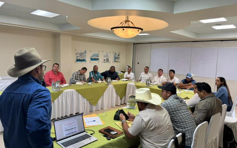 Modelo de Ganadería Sostenible sumará a más productores en 2026