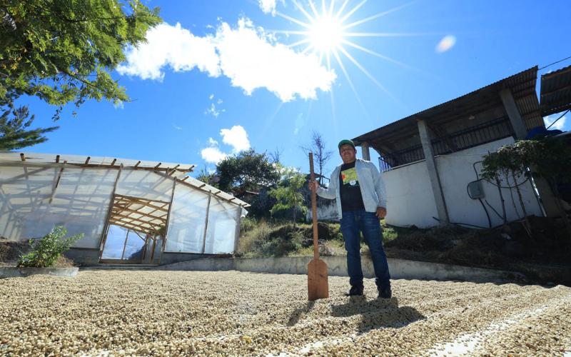 Pequeños productores de café acceden a financiamiento de más de Q13 millones