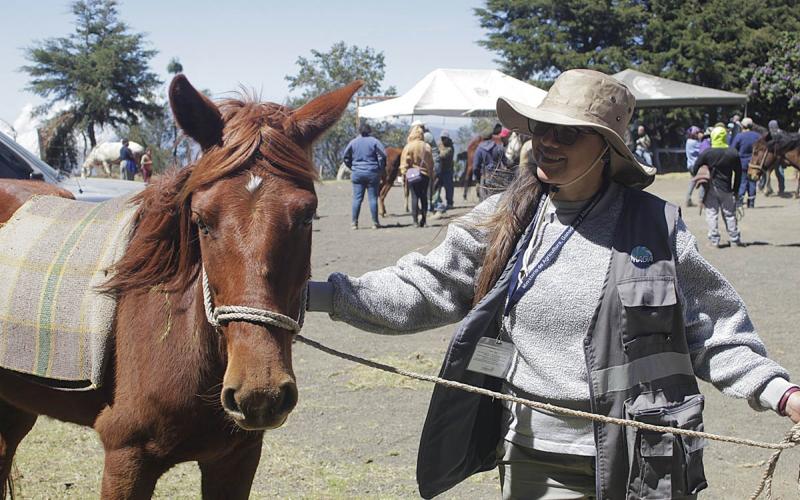 Por un trato digno y responsable hacia los animales