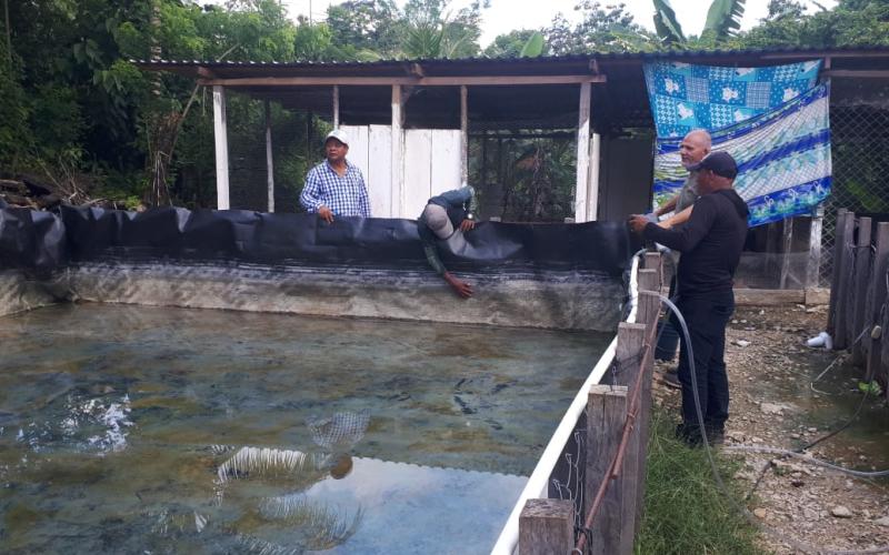 Productores de Panzós fortalecen conocimientos en tecnología acuícola 
