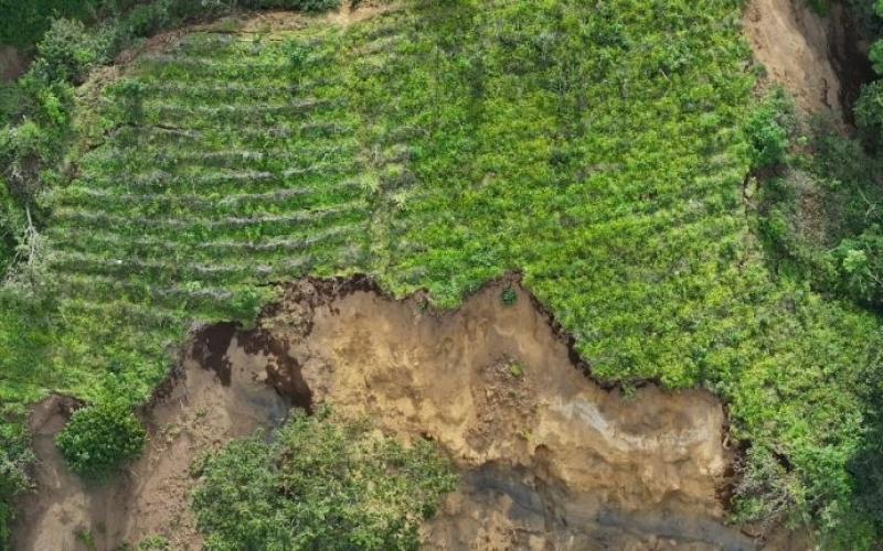 Resiliencia agrícola con monitoreo de drones y evaluación climática