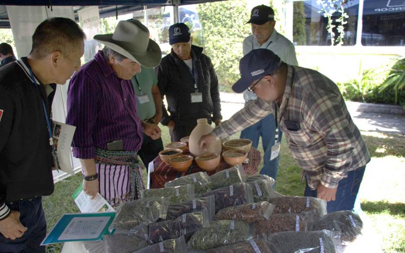 Sector agropecuario de Sololá fortalece sus conocimientos en producción agroalimentaria