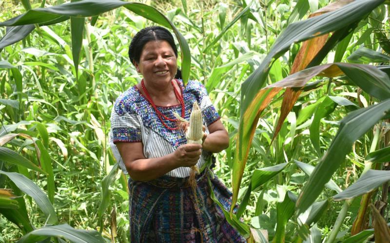 Seguro Agropecuario amplía significativamente su cobertura durante 2025