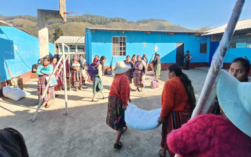 Sistema patio fortalece la producción de más de 42 mil pequeños agricultores