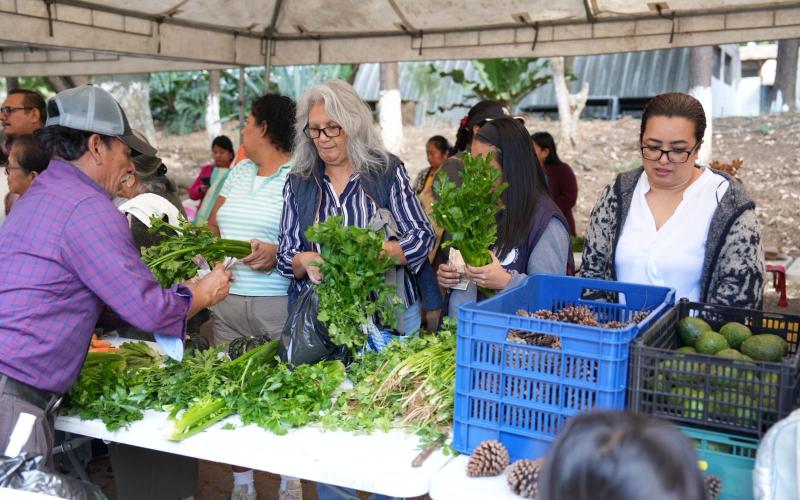 Villa Nueva se llena de sabor y frescura con la última Feria del Agricultor