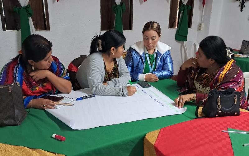 Taller sobre medicina natural Q’eqchi’ 