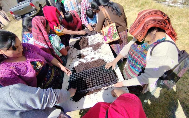 Agricultores de Quetzaltenango se tecnifican en agricultura protegida para mejorar sus cultivos