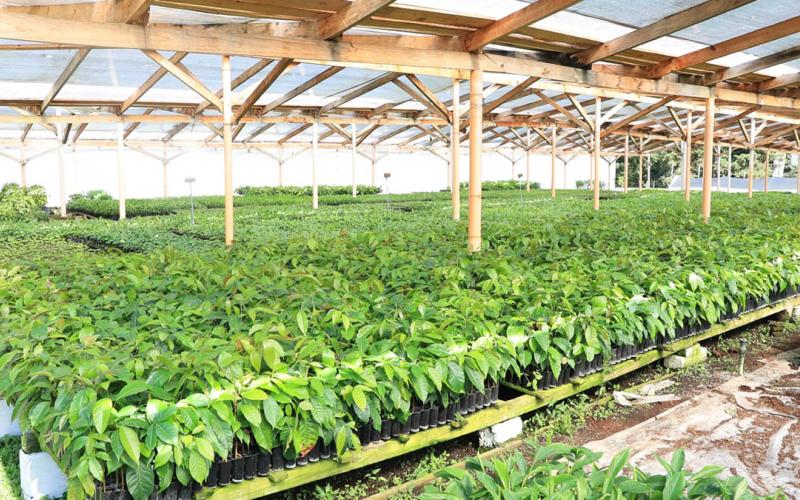 Ante bajas temperaturas y posibles heladas son monitoreados 173 municipios