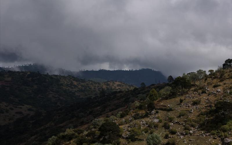 Anticipan otro fin de semana con bajas temperaturas y vientos fuertes