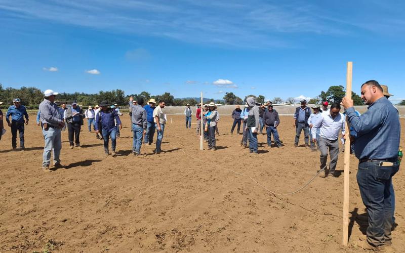 Aplican en campo principios de la metodología Keyline 
