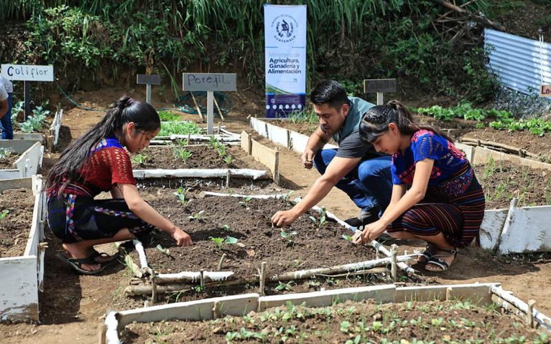 Aprender sembrando también es educar