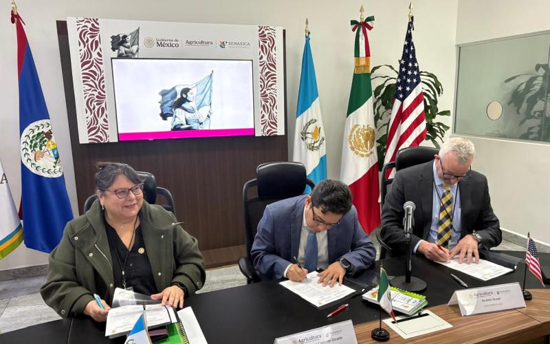 Aseguran plan regional 2026para el control de la mosca del Mediterráneo