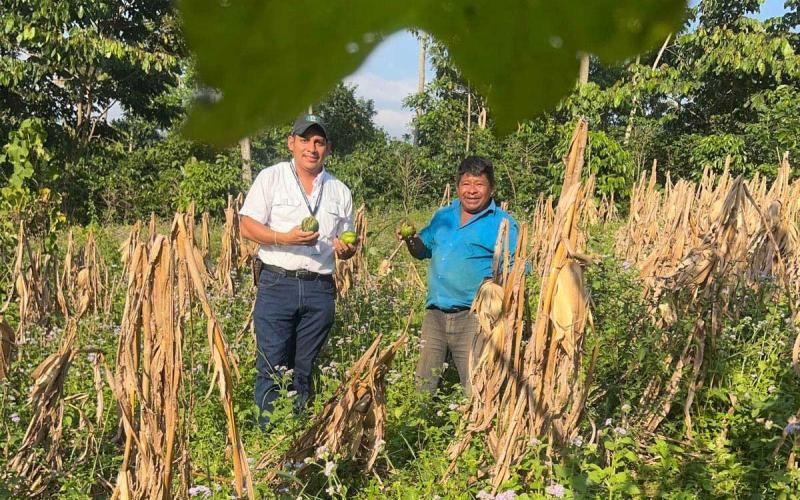 Brindan asistencia técnica a productores de Retalhuleu para fortalecer sus cultivos