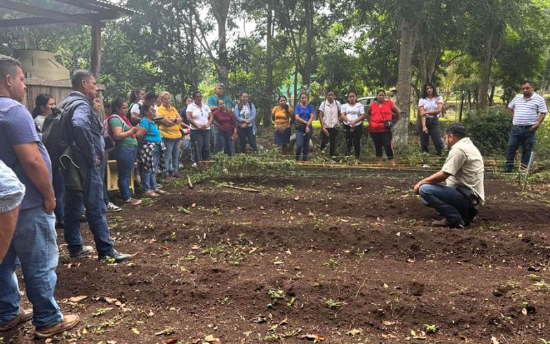 Capacitadas más de 95 mil personas en producción de alimentos