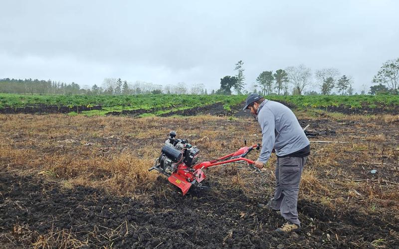 Capacitan a productor en el cultivo de tomate
