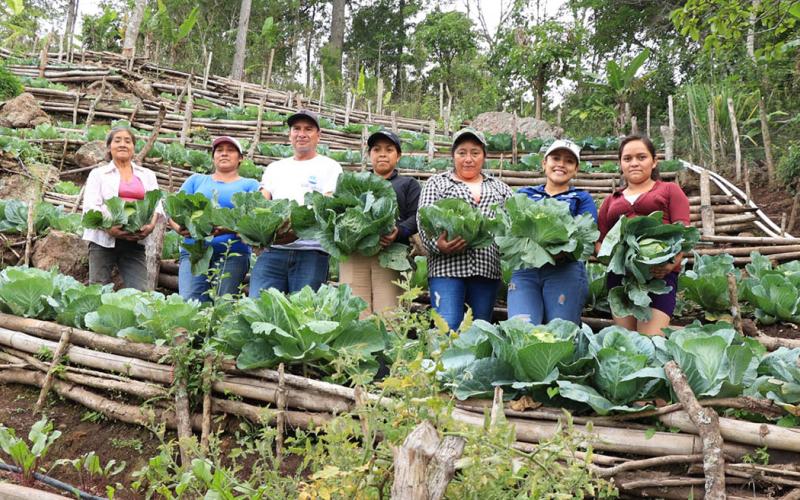 Conozca cómo acceder a los servicios de apoyo y desarrollo rural del MAGA