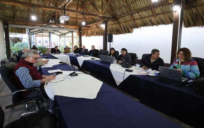 Consolidan estrategia sanitaria frente a la influenza aviar