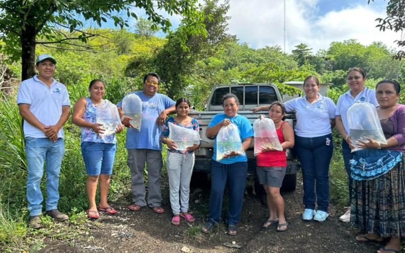 Entrega de alevines fortalece la acuicultura en Petén