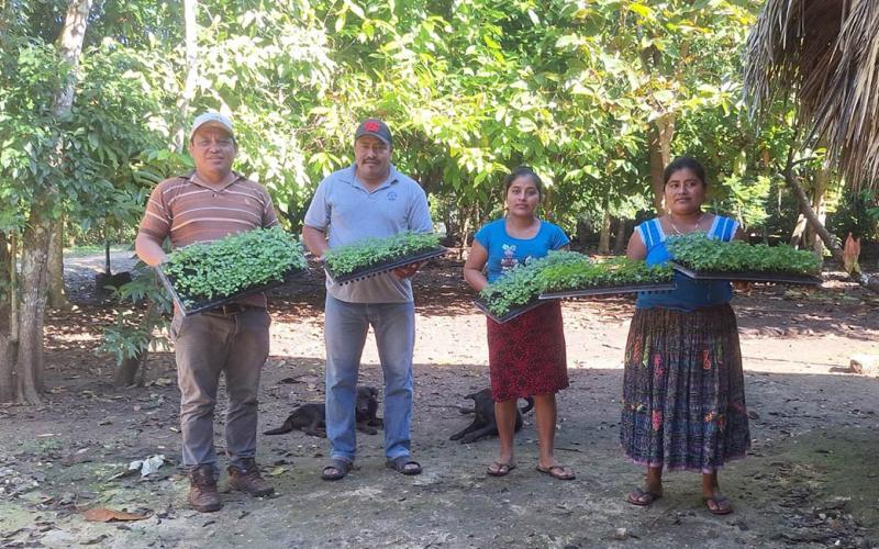 Entregan más de 343 mil pilones de hortalizas en Petén