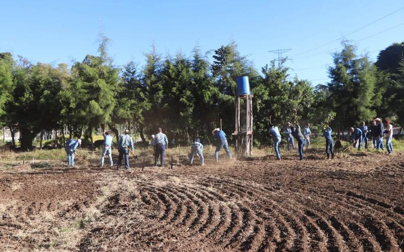 Forman a futuros profesionales del agro en temas de hortalizas en campo abierto