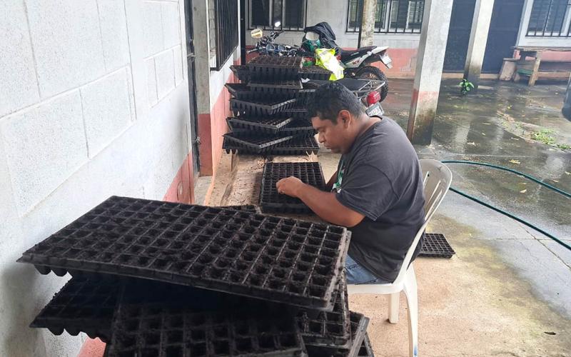 Fortalecen producción de pilones de hortalizas