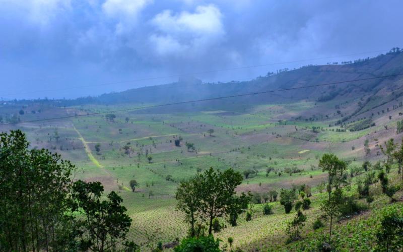 Frío extremo y suelos secos elevan el riesgo para cultivos y ganadería