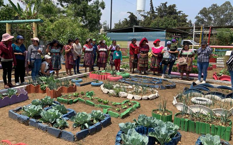 Granja Integral Agropecuaria impulsa aprendizaje y producción sostenible