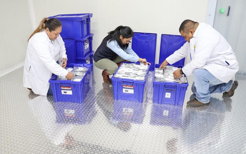 Hecho histórico: Guatemala envía primeras semillas a la “Bóveda del Fin del Mundo”