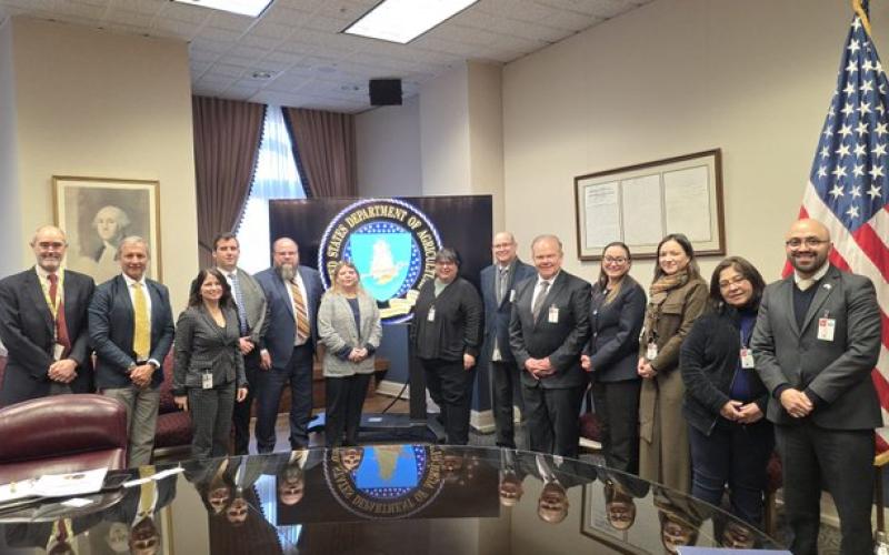 Guatemala presenta a APHIS los avances clave para exportar aguacate Hass a EEUU