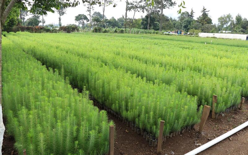 Impulsan acciones para la reducción de emisiones de CO₂