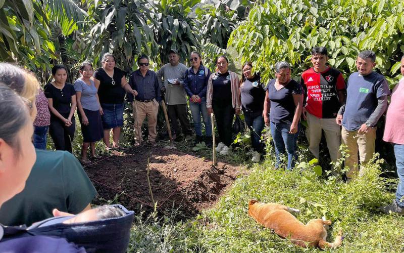 Impulsan la creación de huertos familiares en la aldea Loma Linda, Quetzaltenango