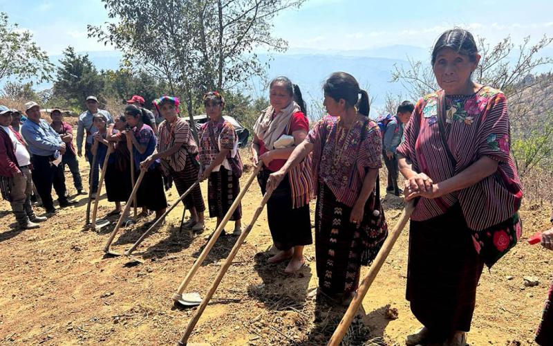 Inicia postulación al programa Alimentos por Acciones