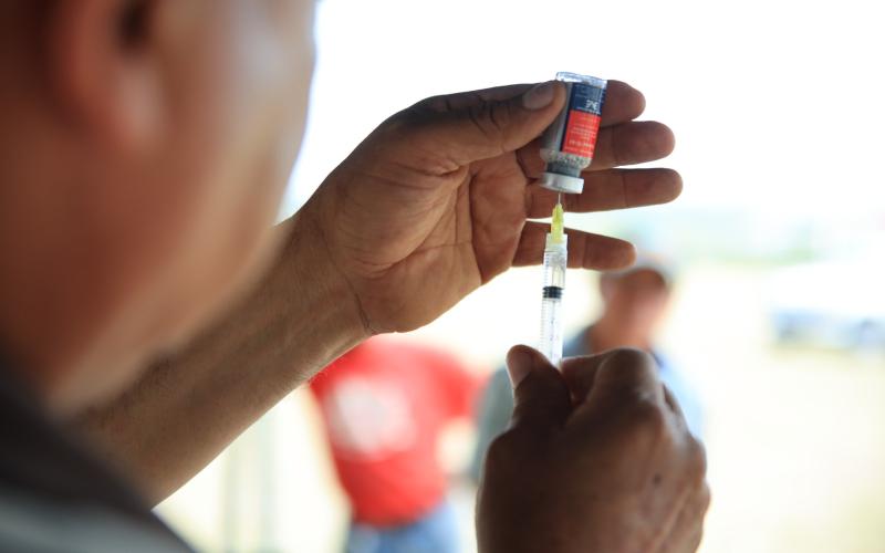 La vacunación es clave para prevenir la rabia bovina en el país 