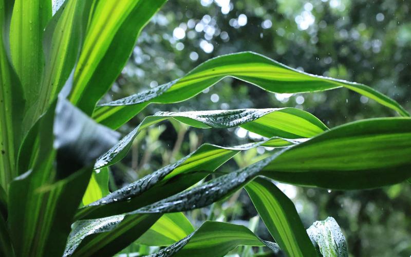 Lluvias, bajas temperaturas y vientos fuertes afectan mayor parte del país