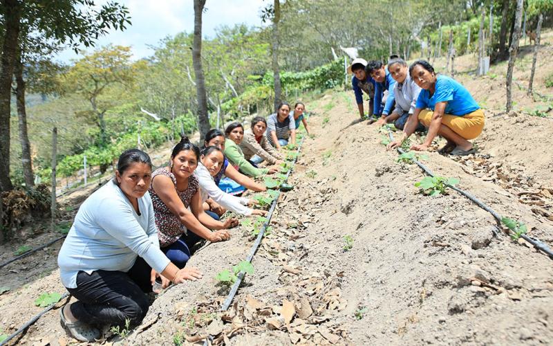 Los huertos comunitarios, alternativa que fortalece la seguridad alimentaria y el desarrollo local