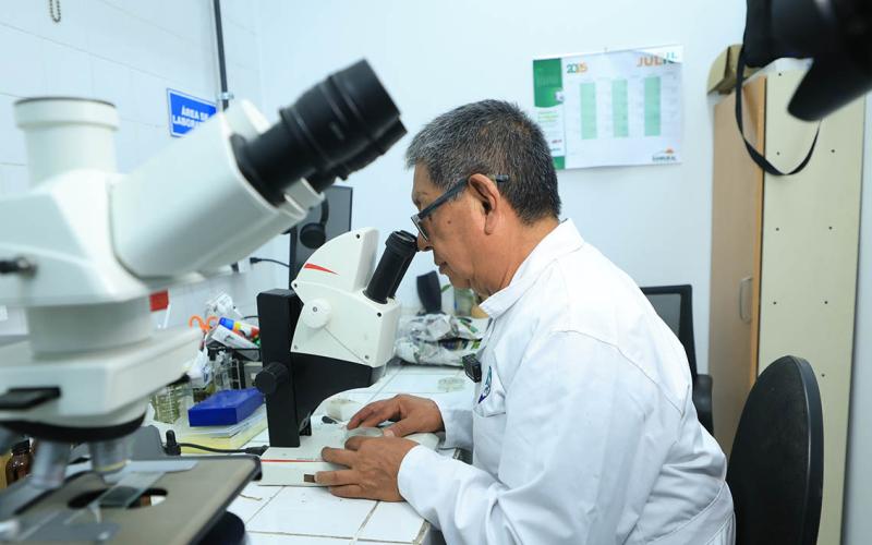 Más de 11 mil análisis fortalecen la vigilancia fitosanitaria en el país