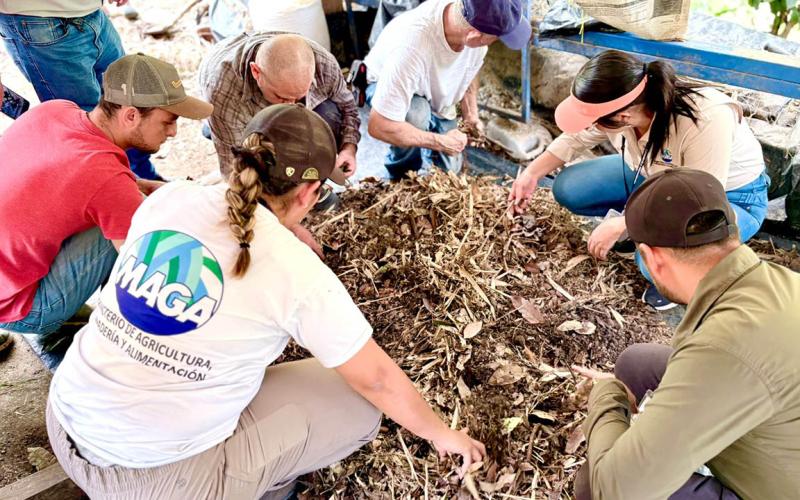 Mejoran rendimiento de cultivos con agricultura sostenible