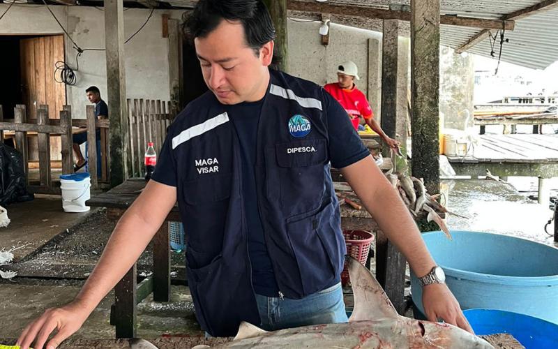 Monitoreo de pesca artesanal en Livingston