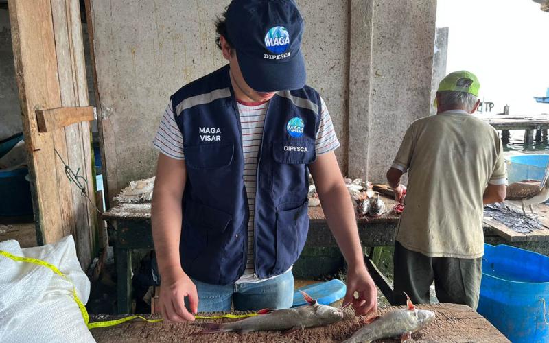 Monitoreo pesquero en Livingston fortalecerá manejo sostenible de especies