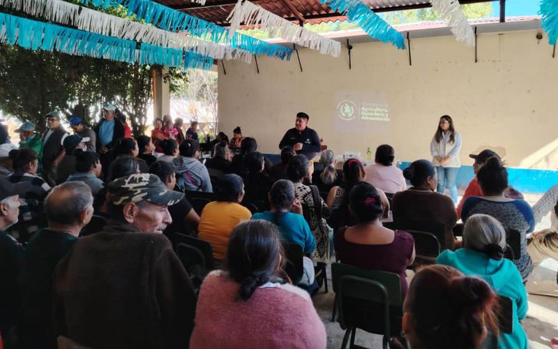 Productores de San Miguel Petapa se organizan para crecer