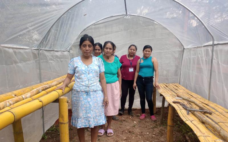 Productores de Zacapa reciben apoyo con estructuras para piloneras