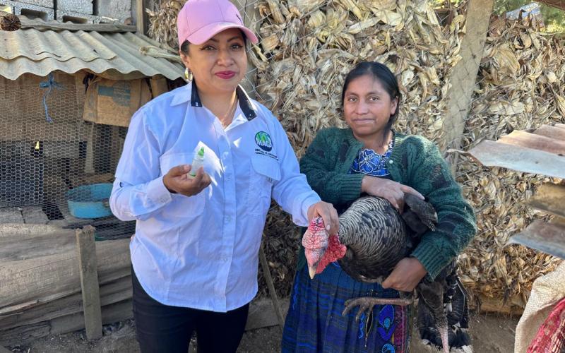 Protegen patrimonio avícola de productoras con jornada de vacunación