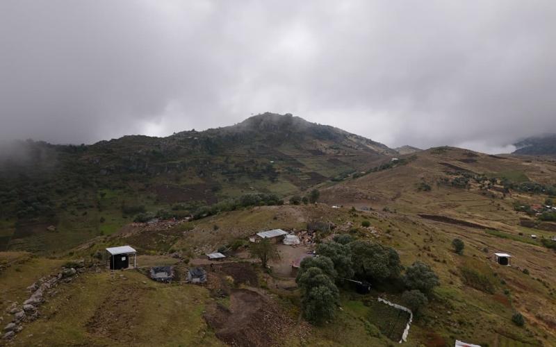 Recomendaciones para el sector agropecuario ante vientos y descenso de temperatura  