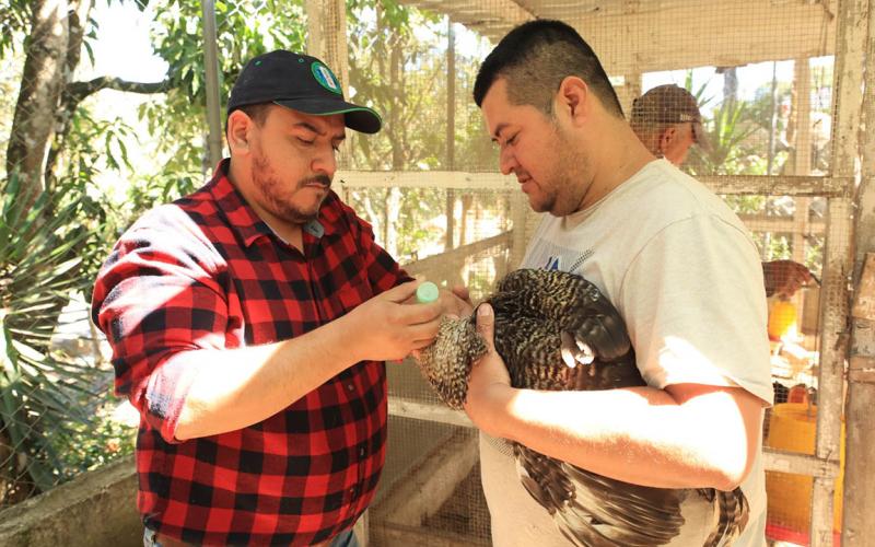 Recomendaciones para la protección pecuaria por las bajas temperaturas