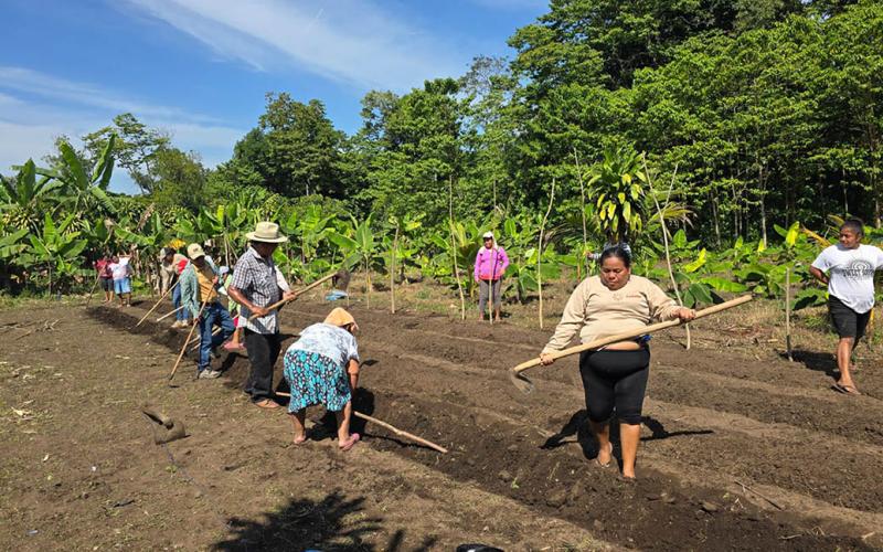 Sembrando salud desde un huerto de Santa Lucía Cotzumalguapa