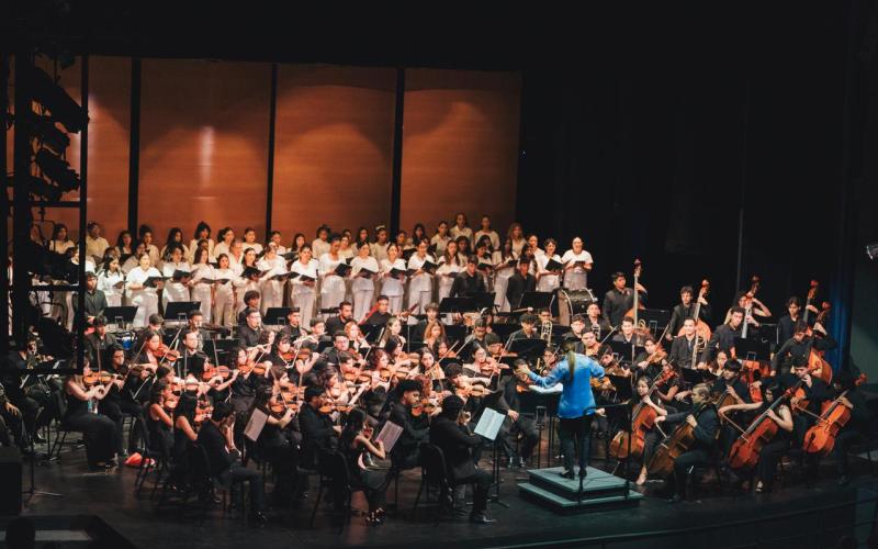 Los Programas Iberoamericanos son de ayuda para el arte. 