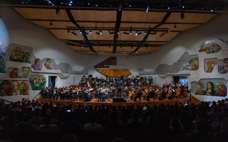 Del violín a los timbales: ¿cómo se constituye una orquesta sinfónica?