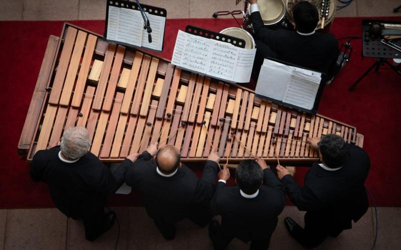 Febrero: celebramos nuestro instrumento nacional con una serie de conciertos