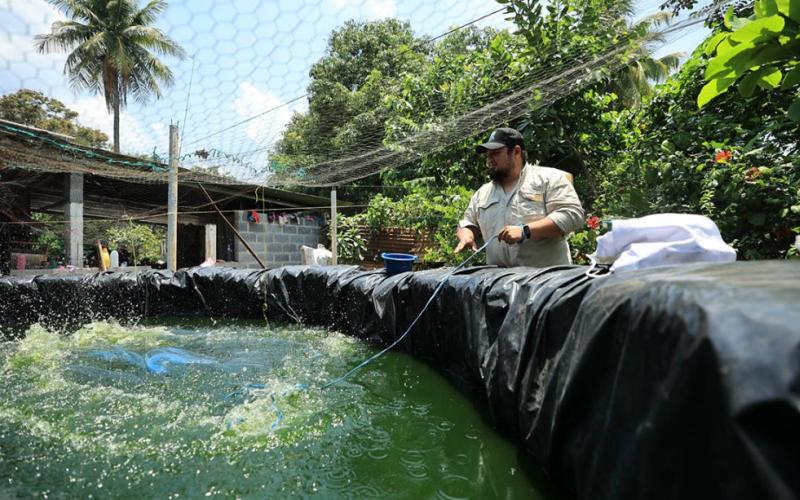 Apoyo técnico de extensionistas: clave para promover la piscicultura